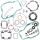 Complete Gasket Kit with Oil Seals WINDEROSA 811457