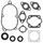 Complete Gasket Kit with Oil Seals WINDEROSA 711105