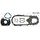 Set tesnil motorja RMS 100683000