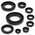 Engine Oil Seal Kit WINDEROSA 822351