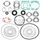 Complete gasket set with oil seal WINDEROSA 611200