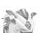 Windscreen PUIG RACING 5651A moder