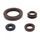 Engine Oil Seal Kit WINDEROSA 55239