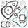 Complete Gasket Kit with Oil Seals WINDEROSA 811828
