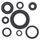 Engine Oil Seal Kit WINDEROSA 822111