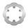 Zavorni disk NG 091X