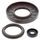 Engine Oil Seal Kit WINDEROSA 55226