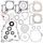 Complete Gasket Kit with Oil Seals WINDEROSA 811879