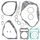 Complete Gasket Kit WINDEROSA 808532