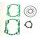 TOPEND set tesnil za motor ATHENA P400220600251
