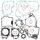 Complete Gasket Kit with Oil Seals WINDEROSA 811262