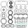 Complete gasket set with oil seal WINDEROSA 611604