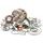 Bottom end kit HOT RODS CBK0006