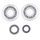 Crankshaft Rebuilding Kit ATHENA P400210444311 (bearing and oil seal kit)