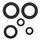 Engine Oil Seal Kit WINDEROSA 822144