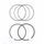 Ring set ATHENA S41316216 d 102mm for Athena piston