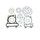 TOPEND set tesnil za motor ATHENA P400485600206
