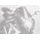 Windscreen PUIG RACING 4055W prozorna
