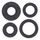 Engine Oil Seal Kit WINDEROSA 822168