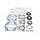 Complete Gasket Kit with Oil Seals WINDEROSA 611813