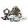 Bottom end kit HOT RODS CBK0182