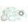 Celoten set tesnil za motor ATHENA P400510850278