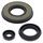 Engine Oil Seal Kit WINDEROSA 55199