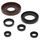 Engine Oil Seal Kit WINDEROSA 822276