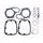 TOPEND set tesnil za motor ATHENA P400068600013