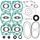 Complete Gasket Kit with Oil Seals WINDEROSA 711211