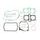 Celoten set tesnil za motor ATHENA P400210850452