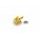 Final seat screw CUSTOMACCES TH0001O zlata