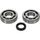 Crankshaft bearing kit All Balls Racing 24-1126