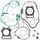 Complete Gasket Kit with Oil Seals WINDEROSA 811802
