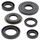 Engine Oil Seal Kit WINDEROSA 822307