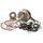 Bottom end kit HOT RODS CBK0075