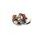 Stator RMS 246360144 complete with contacts 6V 25W
