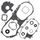 Complete Gasket Kit with Oil Seals WINDEROSA 811908