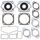 Complete Gasket Kit with Oil Seals WINDEROSA 711084A