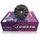 Variator J.Costa IT216PRO