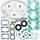 Complete Gasket Kit with Oil Seals WINDEROSA 711222