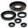 Engine Oil Seal Kit WINDEROSA 822209