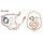 Set tesnil motorja RMS 100686520