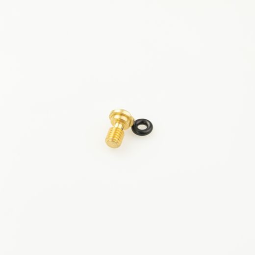 Bleed bolt KYB 110090000601 COMP zlata