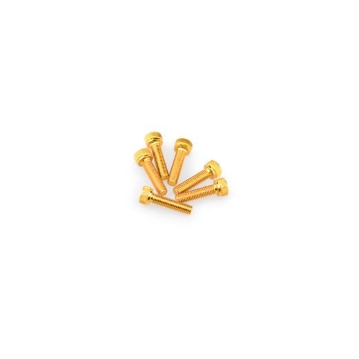 Screws PUIG ANODIZED 0147G yellow M5 x 20mm (6pcs)