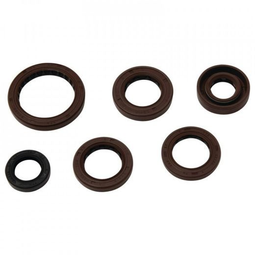 Engine Oil Seal Kit WINDEROSA 822367