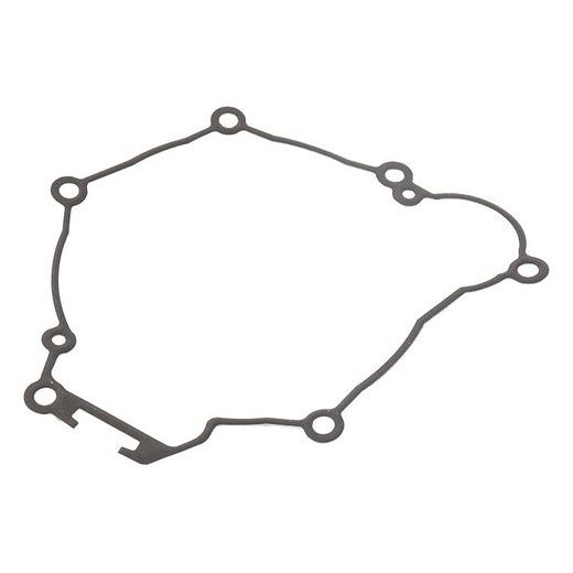 Ignition cover gasket WINDEROSA 816318