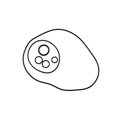 O-Ring kit RMS 100709033