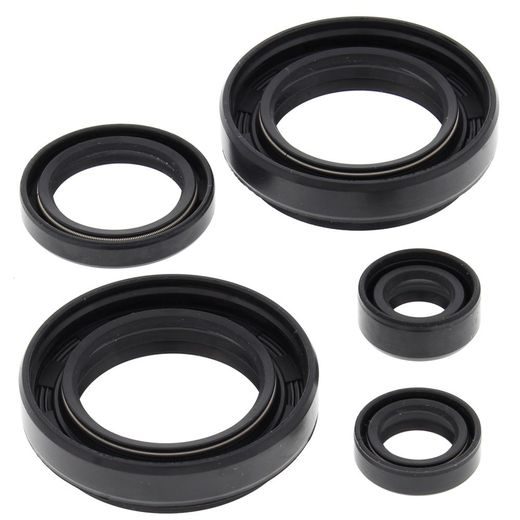 Engine Oil Seal Kit WINDEROSA 822234