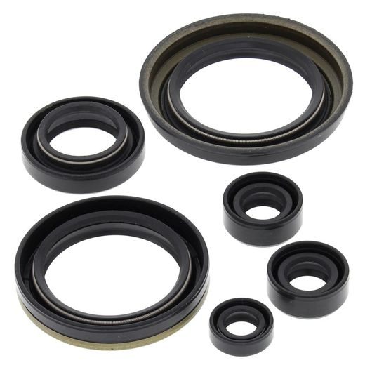 Engine Oil Seal Kit WINDEROSA 822280